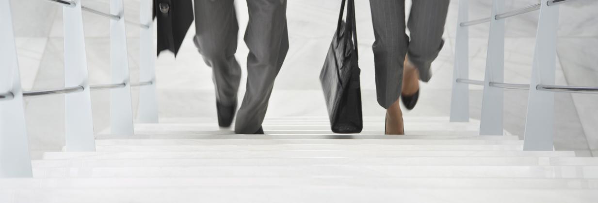 Two people walking up stairs, holding briefcases.