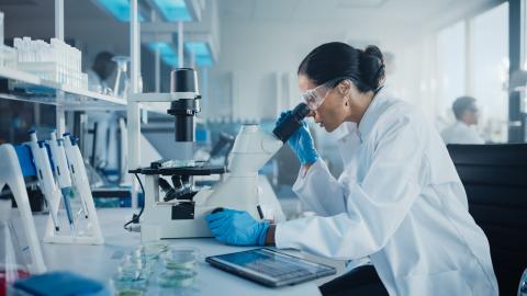 Scientist in a lab, looking through a microscope.